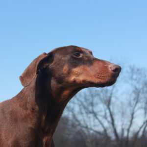 Elsa Jackson Vom Sweet Pea Haus