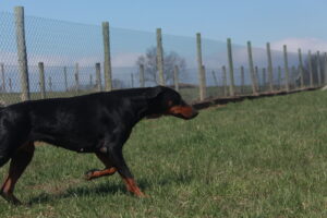 Princess Nakita Von Sweet Pea