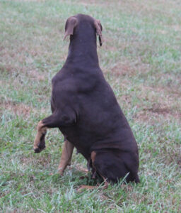 Natalya von Sweet Pea Haus