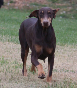 Natalya von Sweet Pea Haus