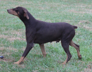 Natalya von Sweet Pea Haus