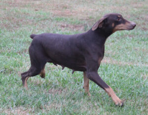 Natalya von Sweet Pea Haus